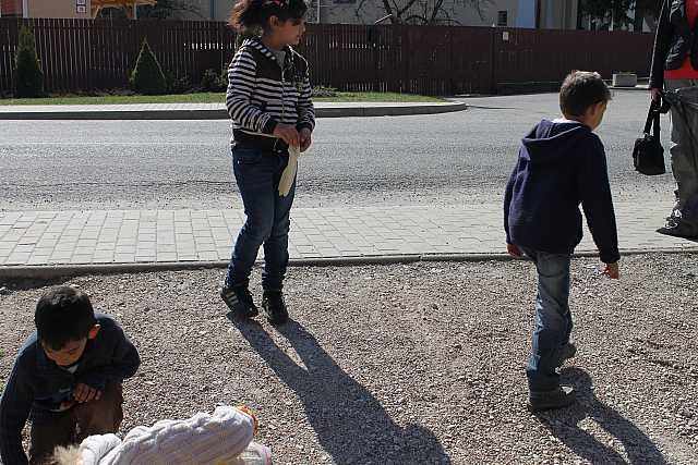 den_zeme img_0142